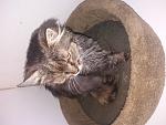     
: 20210606_145226.jpg
: 43
:	132.4 
ID:	13489280