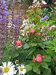     
: received_144720527616055.jpg
: 7
:	102.1 
ID:	13489536