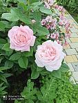    
: received_173081811494688.jpg
: 8
:	77.8 
ID:	13489537