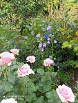    
: received_495647131651862.jpg
: 7
:	106.0 
ID:	13489542