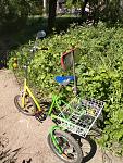     
: IMG20210610094236.jpg
: 15
:	245.1 
ID:	13490640