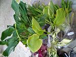     
: 20210616_194923.jpg
: 24
:	170.9 
ID:	13490977