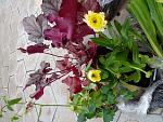     
: 20210616_194857.jpg
: 28
:	177.4 
ID:	13490978