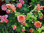     
: 20210613_084127.jpg
: 8
:	236.1 
ID:	13491276