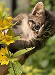     
: BB8BB97F-AF79-46A7-AFF7-C2AA50E47EB6.jpg
: 2
:	50.2 
ID:	13492170