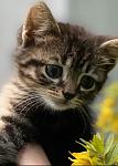     
: 4249B37D-B85C-4399-A0F4-AACE9FC6E408.jpg
: 2
:	48.4 
ID:	13492174