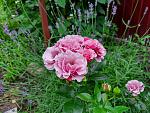     
: 20210620_113735.jpg
: 11
:	184.2 
ID:	13492472