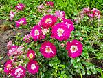     
: 20210620_121757.jpg
: 9
:	252.7 
ID:	13492474