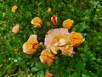     
: 20210620_135056.jpg
: 9
:	145.5 
ID:	13492475