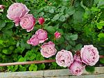     
: 20210620_135713.jpg
: 9
:	182.4 
ID:	13492479