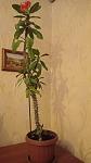     
: IMG_20210614_005017.jpg
: 21
:	52.6 
ID:	13492604