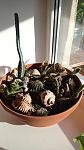     
: IMG_20210614_185924.jpg
: 21
:	78.8 
ID:	13492605