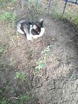     
: IMG_20210626_180155.jpg
: 14
:	151.5 
ID:	13493352