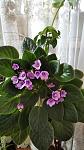     
: IMG_20200527_110802.jpg
: 7
:	82.1 
ID:	13494042