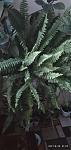     
: 16249898039547507598808901713619.jpg
: 6
:	56.1 
ID:	13494047