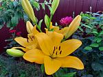     
: 20210625_193327.jpg
: 9
:	135.1 
ID:	13494365