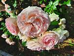     
: 20210627_081703.jpg
: 10
:	151.0 
ID:	13494367