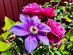     
: 20210627_123125.jpg
: 9
:	192.3 
ID:	13494371