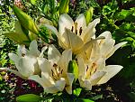     
: 20210628_101308.jpg
: 8
:	182.3 
ID:	13494372