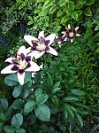     
: IMG_20210630_204126.jpg
: 9
:	144.2 
ID:	13494392