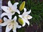     
: IMG_20210630_204614.jpg
: 8
:	145.3 
ID:	13494393