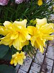     
: IMG_20210630_204534_1.jpg
: 8
:	92.1 
ID:	13494394