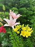     
: received_390436285743964.jpg
: 10
:	63.5 
ID:	13494395