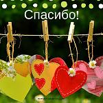     
: bd49f2b92447d74d430729bd5fb68bfc.jpg
: 19
:	100.7 
ID:	13494788