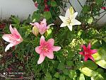     
: IMG_20210627_125144.jpg
: 9
:	229.4 
ID:	13495096