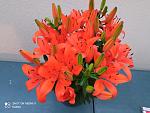     
: IMG_20210624_205540.jpg
: 9
:	120.2 
ID:	13495097