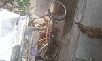     
: 20210705_165549.jpg
: 8
:	119.2 
ID:	13495278