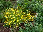     
: IMG_20210706_134721_1.jpg
: 11
:	304.6 
ID:	13495508