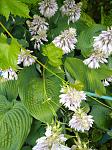     
: IMG_20210706_134805.jpg
: 13
:	139.9 
ID:	13495510