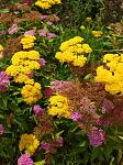     
: IMG_20210706_134829_1.jpg
: 13
:	181.3 
ID:	13495511