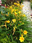     
: IMG_20210706_134857.jpg
: 13
:	198.7 
ID:	13495512