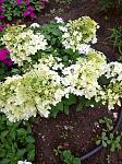     
: IMG_20210706_134706_1.jpg
: 14
:	175.1 
ID:	13495513