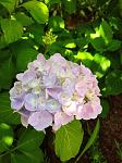     
: IMG_20210706_134938_1.jpg
: 10
:	89.6 
ID:	13495514