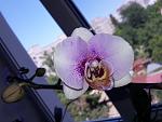     
: 20210709_141101.jpg
: 14
:	91.5 
ID:	13496136