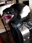     
: IMG_20210709_132447.jpg
: 32
:	71.9 
ID:	13496323
