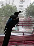    
: IMG_20210701_101611.jpg
: 24
:	140.6 
ID:	13496433