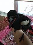     
: IMG_20210622_192446.jpg
: 26
:	62.5 
ID:	13496434