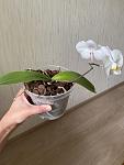    
: IMG_1812_edited.jpg
: 14
:	71.8 
ID:	13496590
