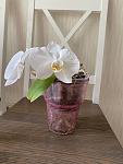    
: IMG_1810_edited.jpg
: 13
:	81.7 
ID:	13496591