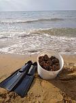     
: IMG_20210713_082102.jpg
: 47
:	141.9 
ID:	13497121