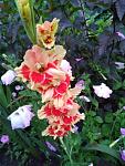     
: IMG-5188ad1e4bcb8d1b244a481ca05a55c9-V.jpg
: 13
:	100.0 
ID:	13497190