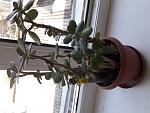     
: 20210714_165118.jpg
: 14
:	120.0 
ID:	13497499