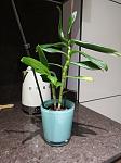     
: IMG_20210322_190450.jpg
: 12
:	82.2 
ID:	13497573