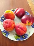     
: IMG_20210721_105400.jpg
: 28
:	77.0 
ID:	13499140