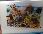     
: IMG_20210723_131758~2.jpg
: 7
:	124.1 
ID:	13499979