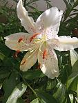     
: IMG_20210721_122924.jpg
: 10
:	94.3 
ID:	13500031